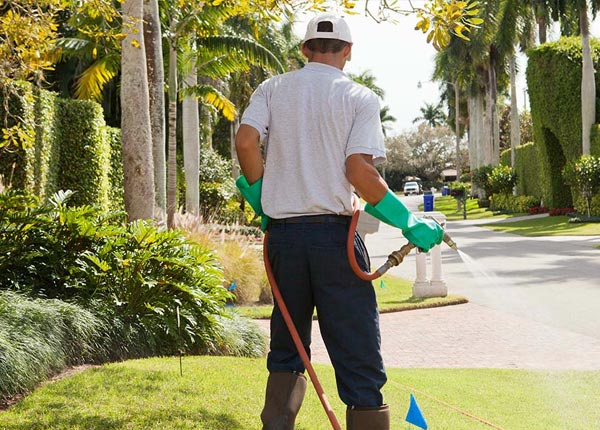 About Menahga MN Pest Control